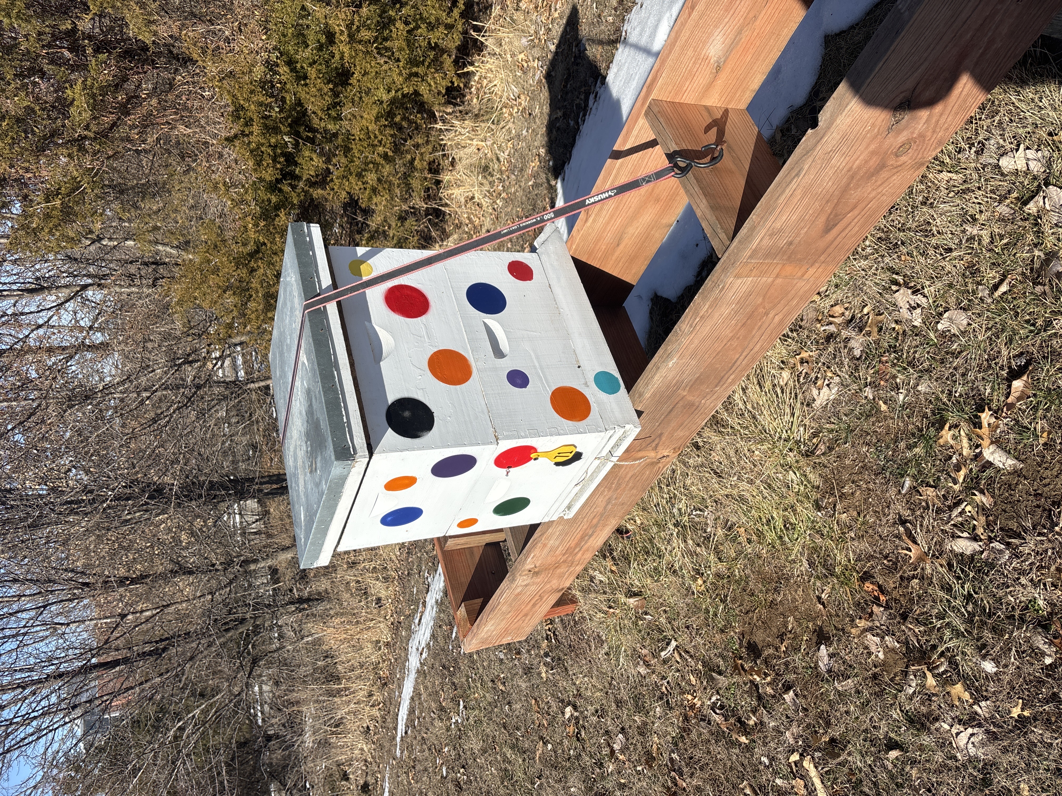 Late February: What's Happening Inside the Hives